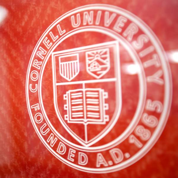 A color photo showing the Cornell University seal on a window.